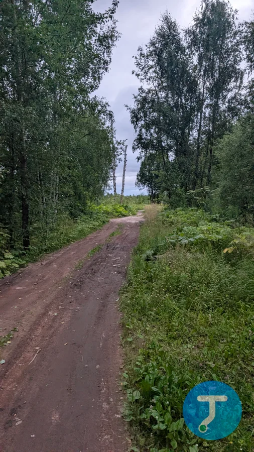 Случайное фото с маршрута Вечер: Кованные закуточки