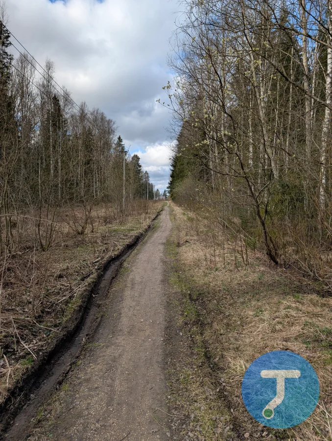 Случайное фото с маршрута ТЭДБ: Прибывшие на луну