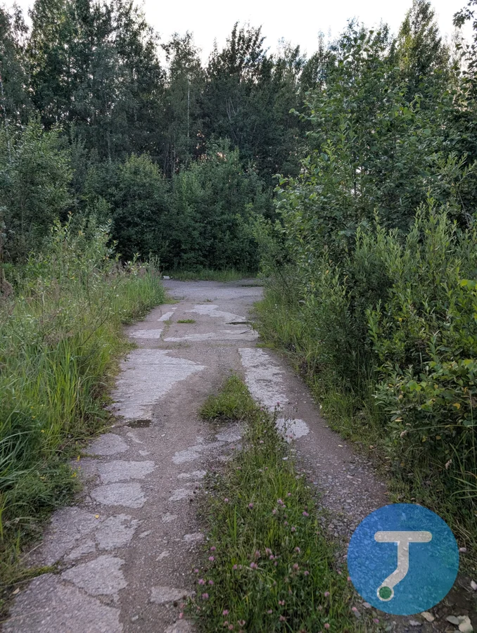 Фото с маршрута Вечер: Заросший университет