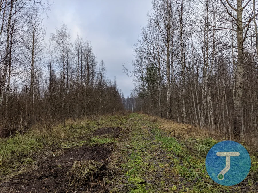 Фото с маршрута БК: И ещё раз про узкоколейки...