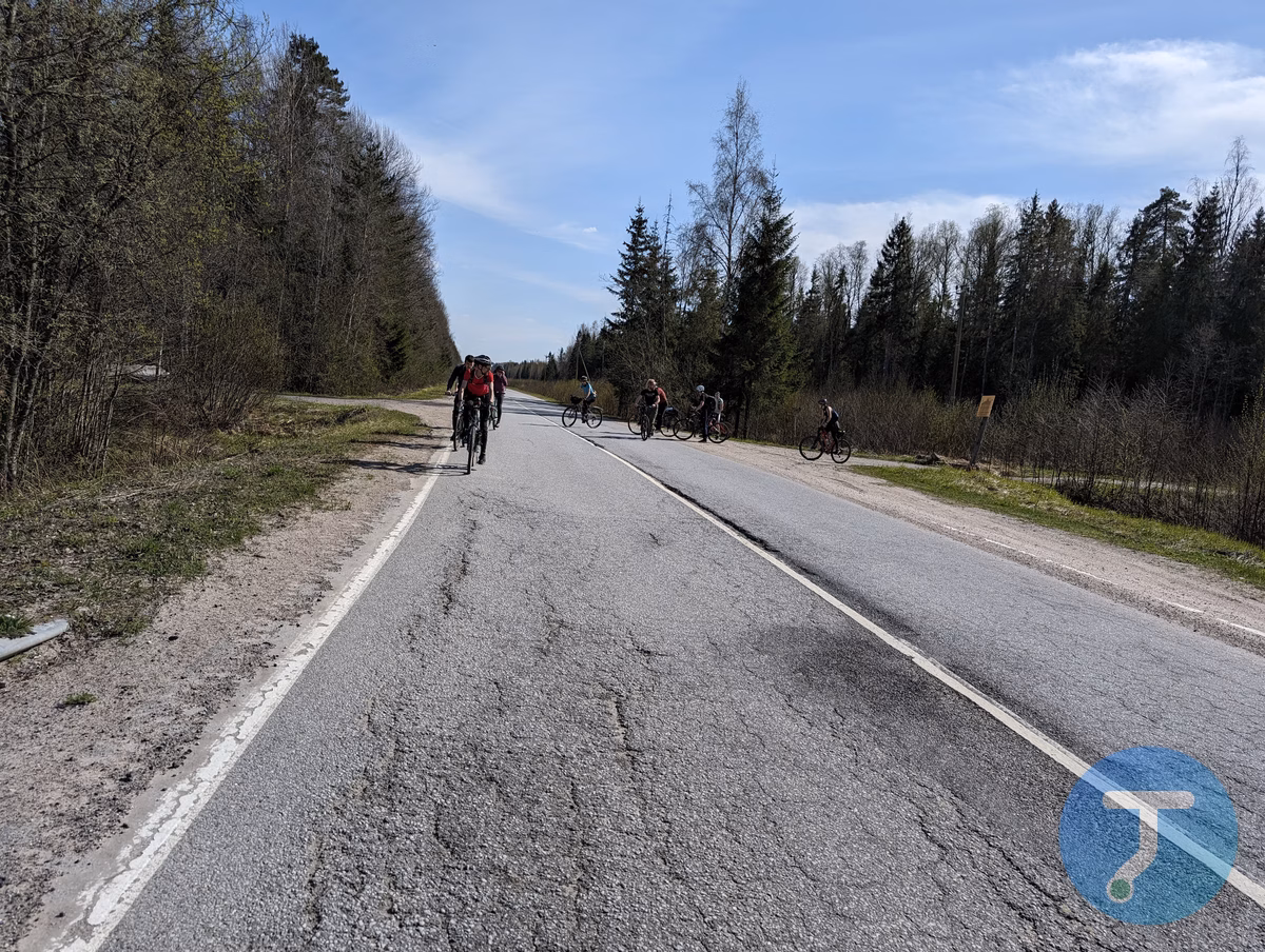 Фото с маршрута Приключения в Лесном царстве