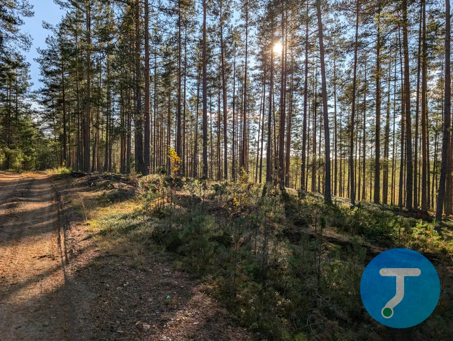 Фото с маршрута Финский гром