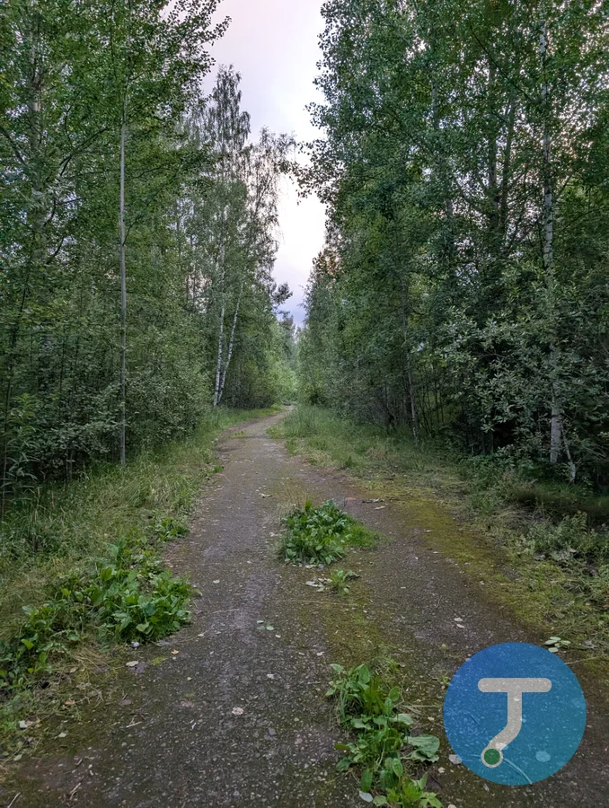 Случайное фото