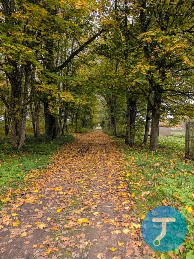 Фото с маршрута Веймарнская осень