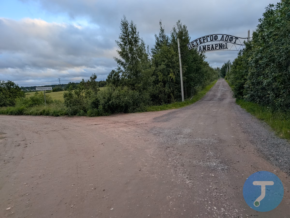 Фото с маршрута Вечер: Заросший университет