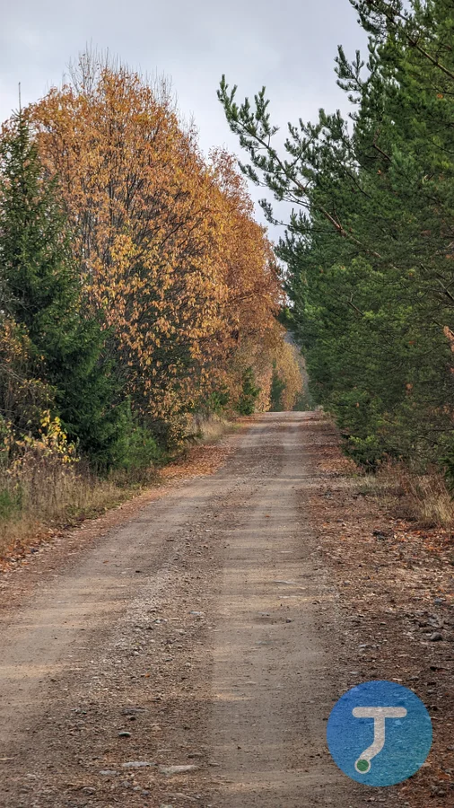 Случайное фото