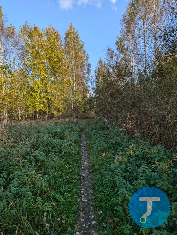 Фото с маршрута Осень на все 100