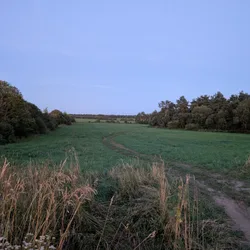 Фото с Вечер: Веревская Усадьба