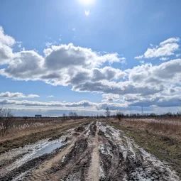 Фото с БК: Дорога в Саблино