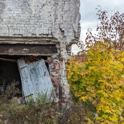 Фото с Прогулка около Виипури