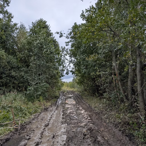 Фото с Малая Родина