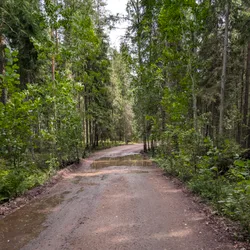 Фото с Киви Выбирает Блинчики