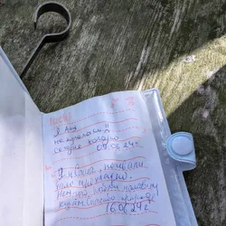 Фото с Киви Выбирает Блинчики