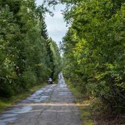 Фото с Киви Выбирает Блинчики