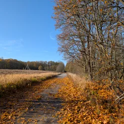 Фото с Котельская осень