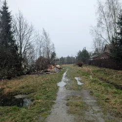 Фото с Ручеёк течёт в Саблино