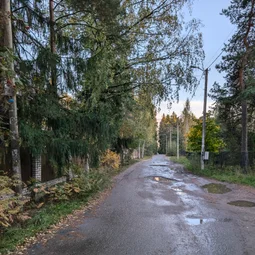 Фото с Осень на все 100