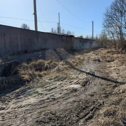 Фото с ТЮЗ