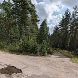 Фото с Киви Выбирает Блинчики