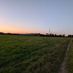Фото с Вечер: Веревская Усадьба