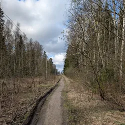 Фото с ТЭДБ: Прибывшие на луну