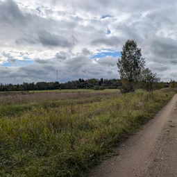 Фото с Осень на все 100