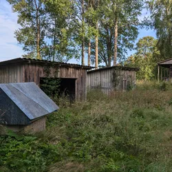 Фото с Киви Выбирает Блинчики