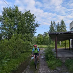 Фото с Вечер: Заросший университет