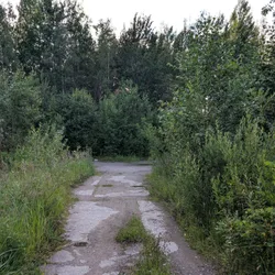 Фото с Вечер: Заросший университет