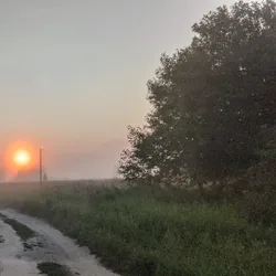 Фото с ПВ: Мега ДУУУБ