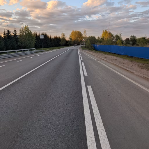 Фото с Вечер: Ванильный Петергофский