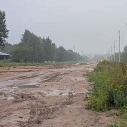 Фото с Старые тропинки Пушкинских Понтонов