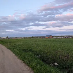 Фото с Вечер: Ванильный Петергофский