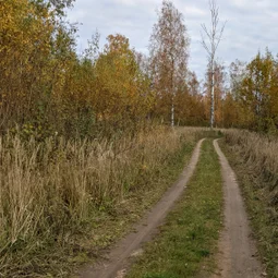 Фото с БК: Тёссанные приключения