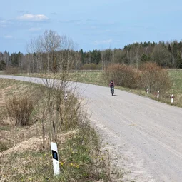 Фото с Приключения в Лесном царстве