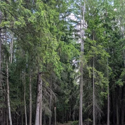 Фото с Тёмная сторона Кальтино