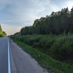 Фото с НБ: Тосненский