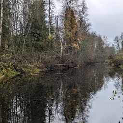 Фото с Прогулка около Виипури