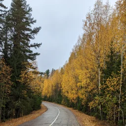 Фото с Прогулка около Виипури