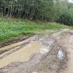 Фото с Осень на ЮЗе