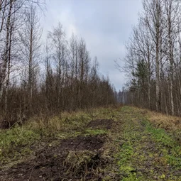 Фото с БК: И ещё раз про узкоколейки...