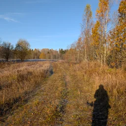 Фото с Котельская осень