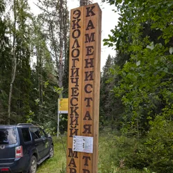 Фото с Киви Выбирает Блинчики