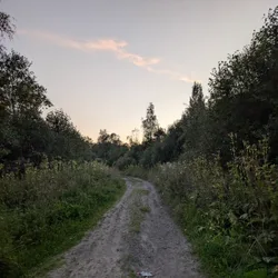 Фото с Вечер: Веревская Усадьба