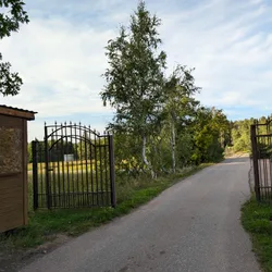 Фото с Киви Выбирает Блинчики