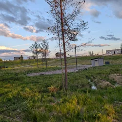 Фото с Вечер: Ванильный Петергофский