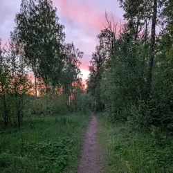 Фото с Вечер: Разведка узкого севера