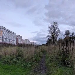 Фото с Вечер: Отпуск в Пушкине