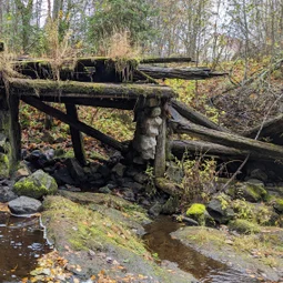 Фото с Прогулка около Виипури