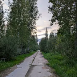 Фото с Вечер: Сливовые Горы